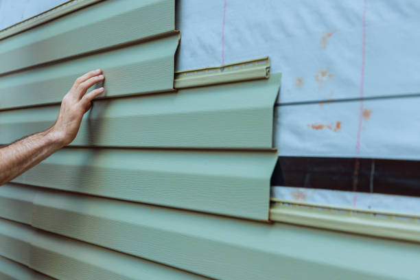 Best Custom Siding Design  in Hazlehurst, GA